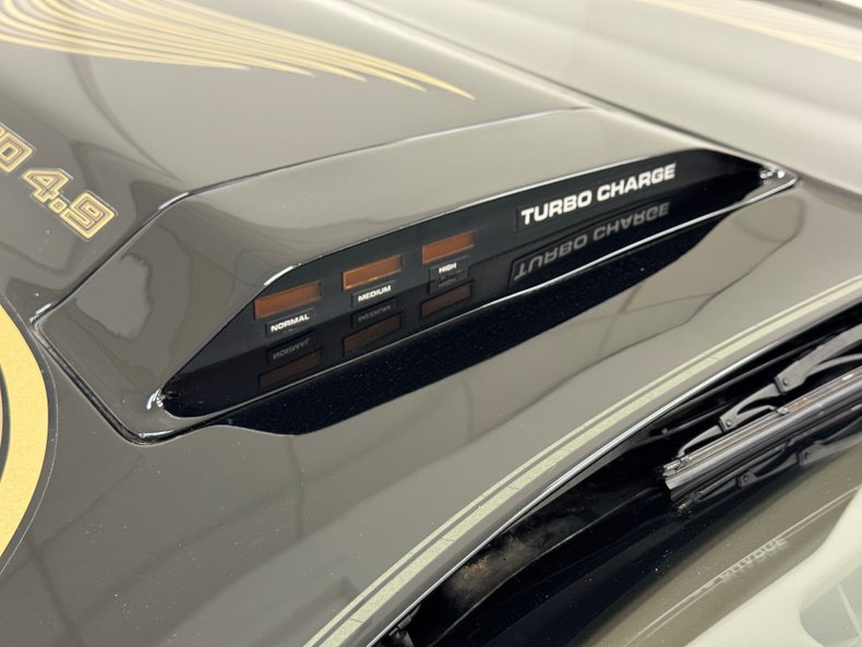 Pontiac-Firebird-1981-Starlite-Black-Light-Doeskin-27