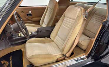 Pontiac-Firebird-1981-Starlite-Black-Light-Doeskin-36
