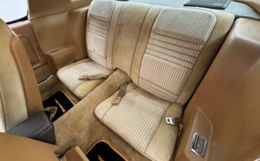 Pontiac-Firebird-1981-Starlite-Black-Light-Doeskin-38