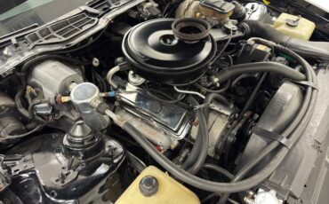Pontiac-Firebird-1982-Black-Tan-22
