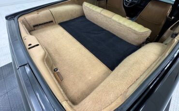 Pontiac-Firebird-1982-Black-Tan-27