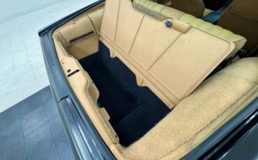 Pontiac-Firebird-1982-Black-Tan-28