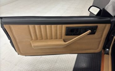 Pontiac-Firebird-1982-Black-Tan-29