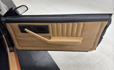 Pontiac-Firebird-1982-Black-Tan-30