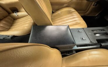 Pontiac-Firebird-1982-Black-Tan-43