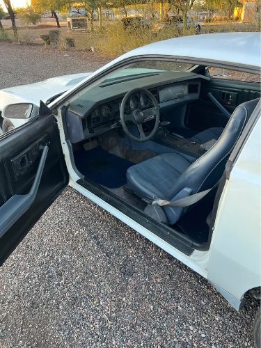 Pontiac-Firebird-1984-White-Blue-1