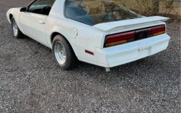 Pontiac-Firebird-1984-White-Blue-2
