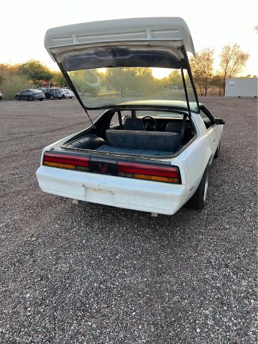 Pontiac-Firebird-1984-White-Blue-5