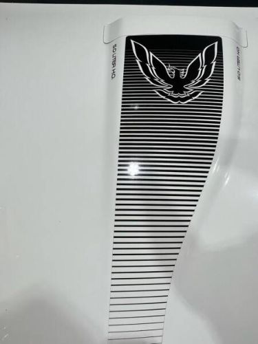 Pontiac-Firebird-1984-White-Light-Blue-Velour-19