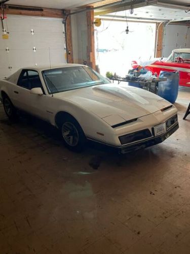 Pontiac-Firebird-1984-White-Light-Blue-Velour-2