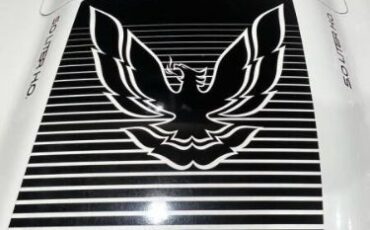 Pontiac-Firebird-1984-White-Light-Blue-Velour-21