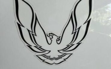 Pontiac-Firebird-1984-White-Light-Blue-Velour-4