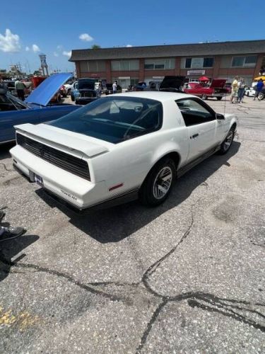 Pontiac-Firebird-1984-White-Light-Blue-Velour-5