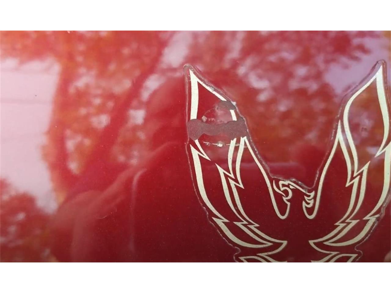 Pontiac-Firebird-1987-Red-Red-13