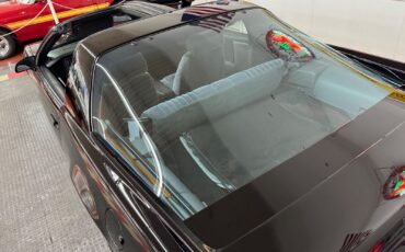 Pontiac-Firebird-1989-Hatchback-19