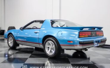 Pontiac-Firebird-1989-Silver-Blue-Metallic-Gray-10