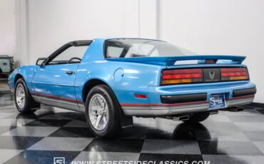 Pontiac-Firebird-1989-Silver-Blue-Metallic-Gray-11