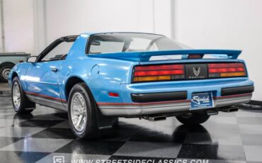 Pontiac-Firebird-1989-Silver-Blue-Metallic-Gray-12