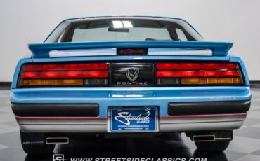Pontiac-Firebird-1989-Silver-Blue-Metallic-Gray-13