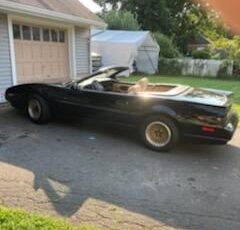 Pontiac-Firebird-1991-Black-Tan-2