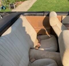 Pontiac-Firebird-1991-Black-Tan-8