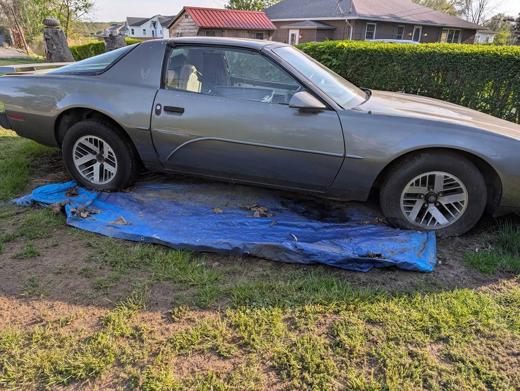 Pontiac-Firebird-1991-silver-1
