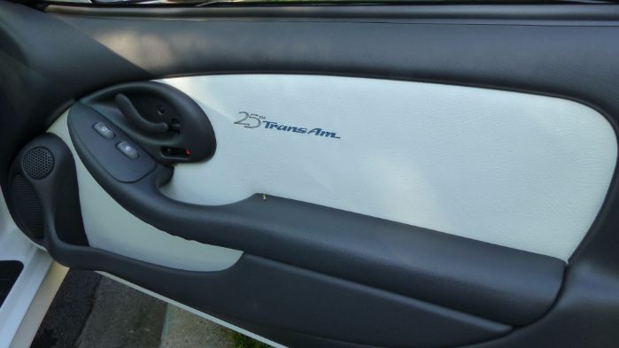 Pontiac-Firebird-1994-10