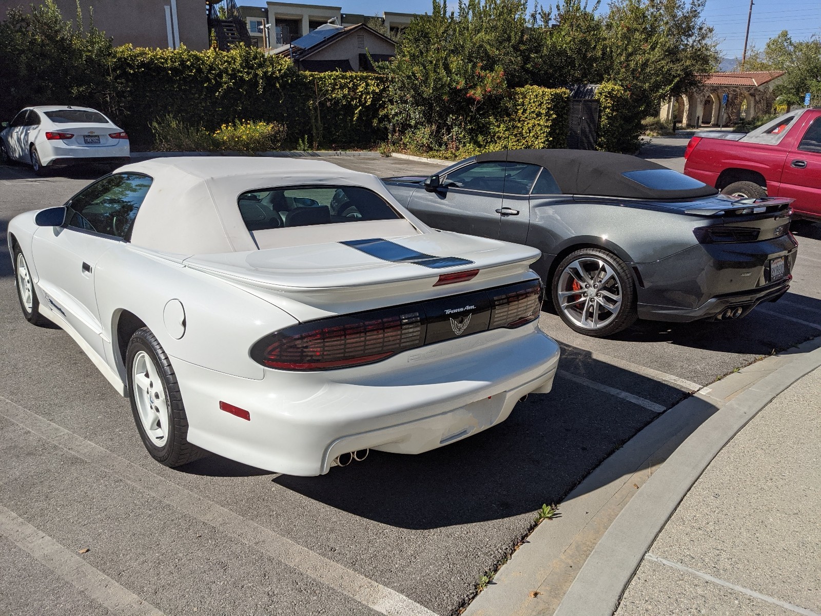 Pontiac-Firebird-1994-4