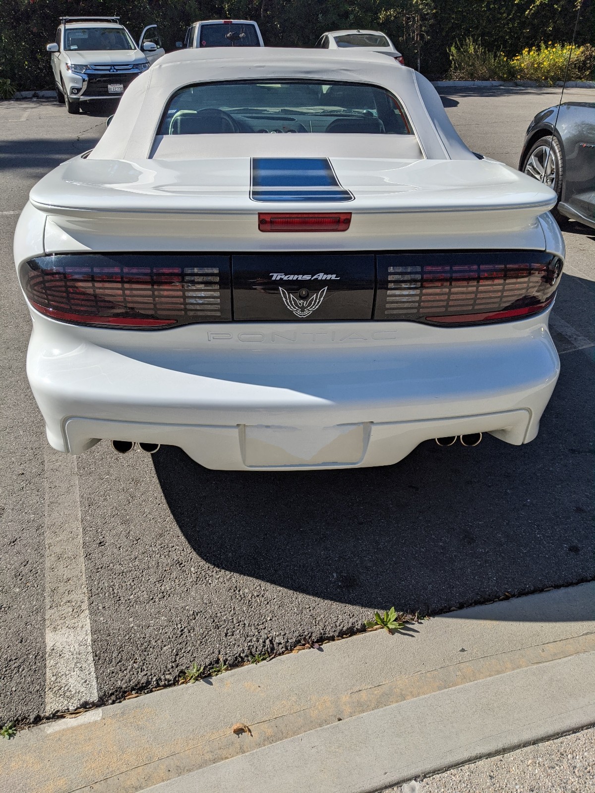 Pontiac-Firebird-1994-5