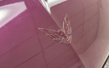 Pontiac-Firebird-1995-Medium-Dark-Purple-M-Graphite-19