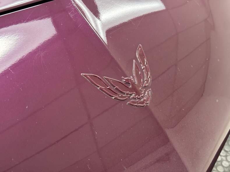 Pontiac-Firebird-1995-Medium-Dark-Purple-M-Graphite-19