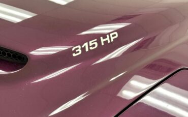 Pontiac-Firebird-1995-Medium-Dark-Purple-M-Graphite-22