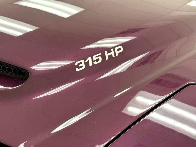 Pontiac-Firebird-1995-Medium-Dark-Purple-M-Graphite-22