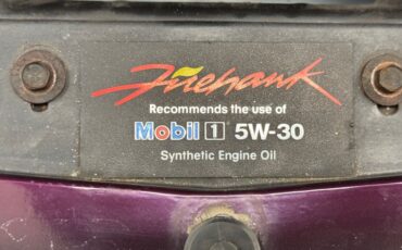 Pontiac-Firebird-1995-Medium-Dark-Purple-M-Graphite-6
