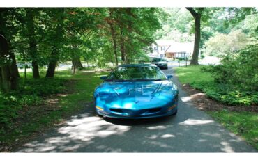 Pontiac-Firebird-1995-Teal-Blue-Metallic-Grey-2
