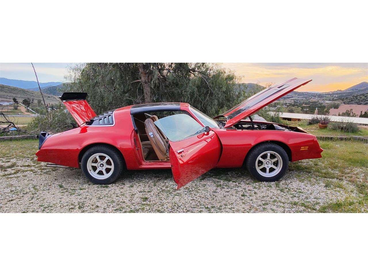 Pontiac-Firebird-formula-1978-Red-with-Black-Strip-Tan-10