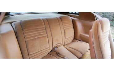 Pontiac-Firebird-formula-1978-Red-with-Black-Strip-Tan-14