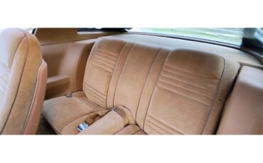 Pontiac-Firebird-formula-1978-Red-with-Black-Strip-Tan-15