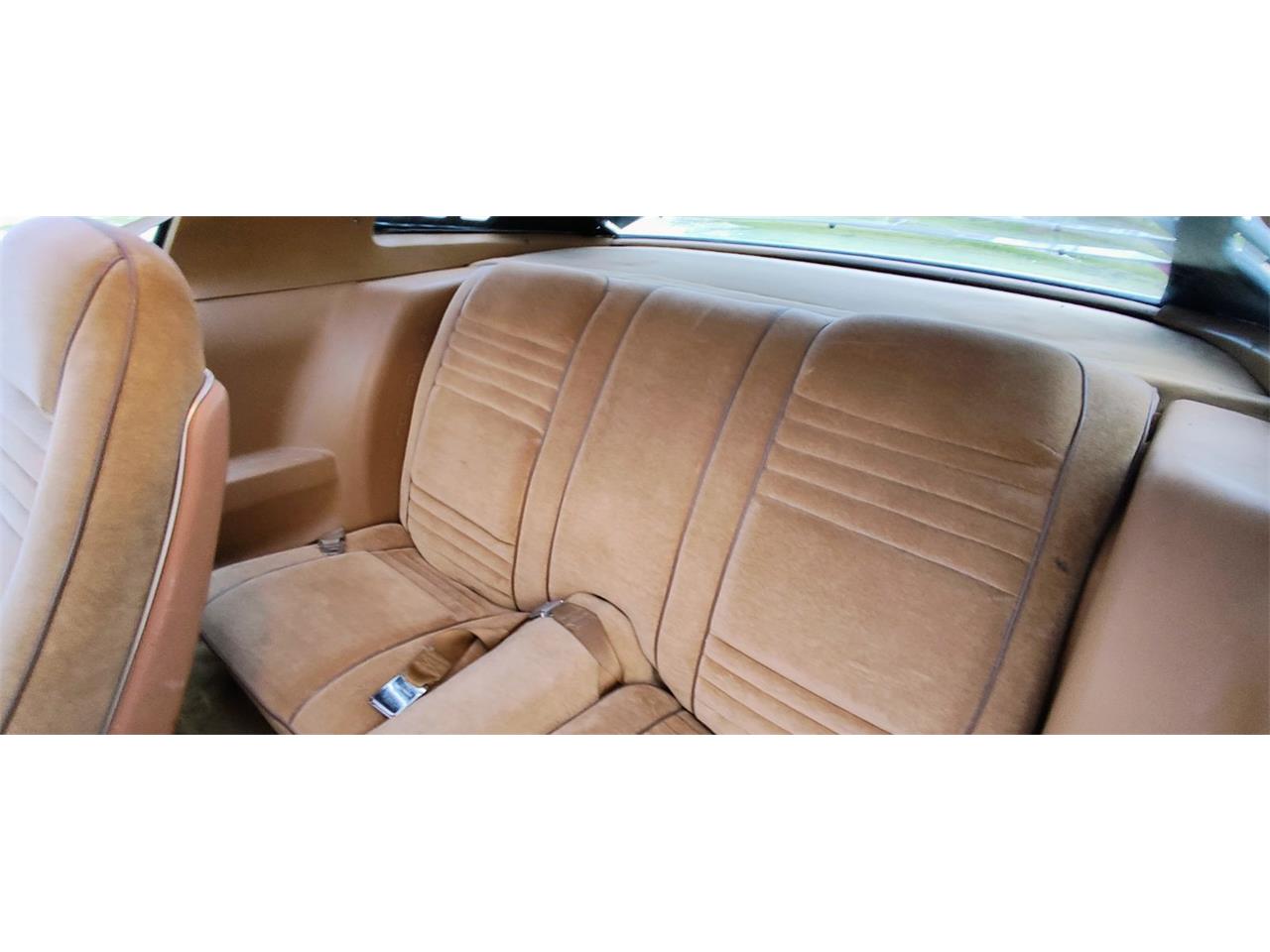 Pontiac-Firebird-formula-1978-Red-with-Black-Strip-Tan-15
