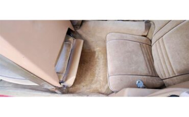 Pontiac-Firebird-formula-1978-Red-with-Black-Strip-Tan-16
