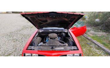 Pontiac-Firebird-formula-1978-Red-with-Black-Strip-Tan-17