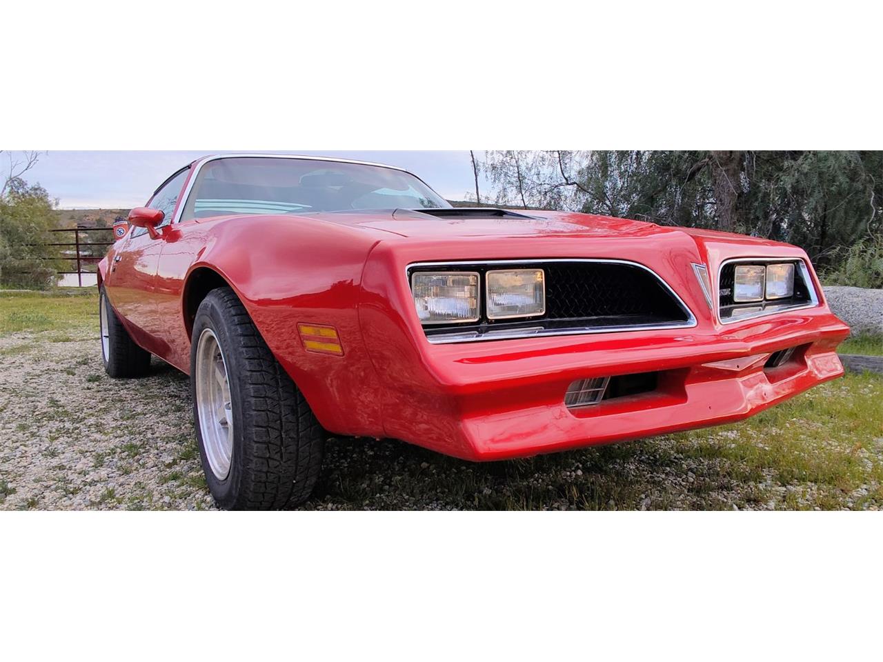 Pontiac-Firebird-formula-1978-Red-with-Black-Strip-Tan-2