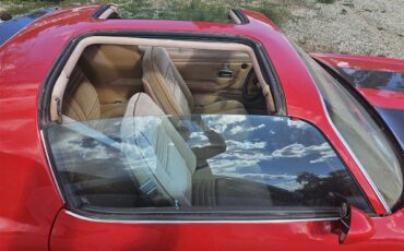 Pontiac-Firebird-formula-1978-Red-with-Black-Strip-Tan-26