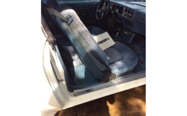 Pontiac-Firebird-trans-am-1975-White-baby-blue-1
