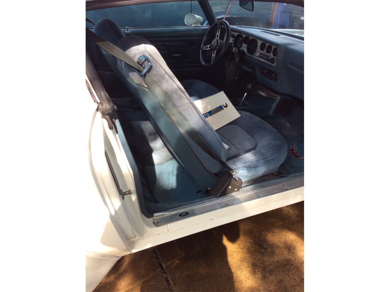 Pontiac-Firebird-trans-am-1975-White-baby-blue-1