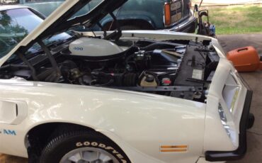 Pontiac-Firebird-trans-am-1975-White-baby-blue-10