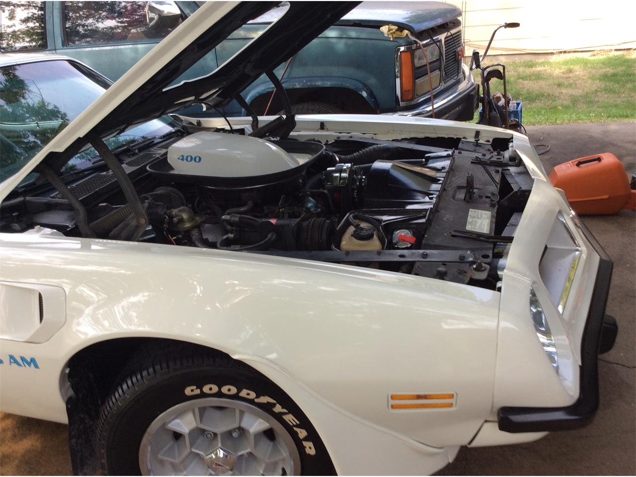 Pontiac-Firebird-trans-am-1975-White-baby-blue-10