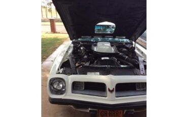 Pontiac-Firebird-trans-am-1975-White-baby-blue-11