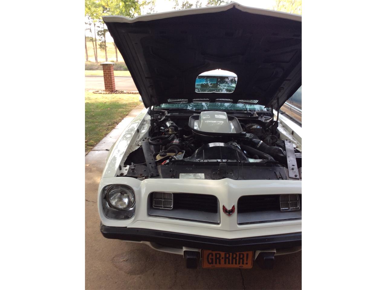 Pontiac-Firebird-trans-am-1975-White-baby-blue-11