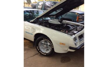 Pontiac-Firebird-trans-am-1975-White-baby-blue-13